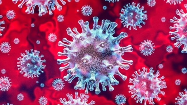 Universiteti amerikan studim për koronavirusin: Pandemia do…