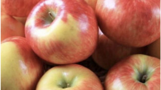 Përfitimet shëndetësore nëse hani dy mollë në…