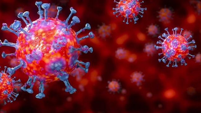 239 shkencetaret thirrje OBSH: Koronavirusi eshte shume…
