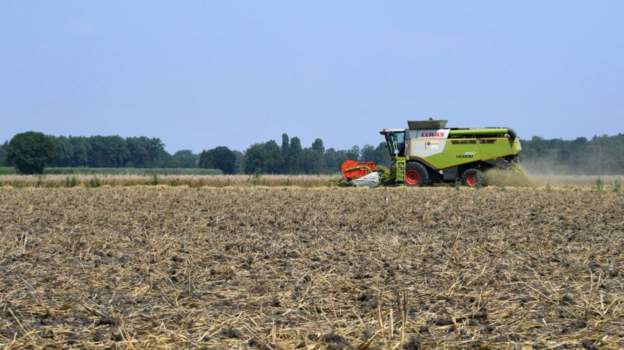 Frikë në Gjermani, 174 fermerë zbulohen pozitivë…