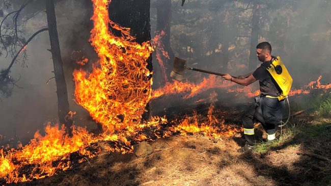 FOTO+VIDEO/ Me sëpatë në dorë, heronjtë zjarrëfikës…