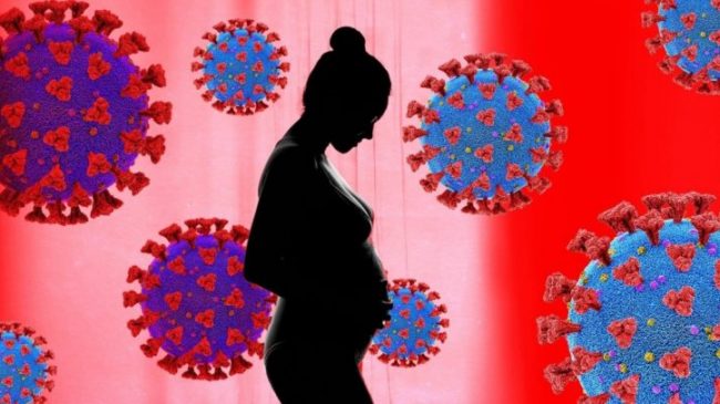 Covid-19/ Shtyhen planifikimet e shtatzënisë pas vaksinimit!