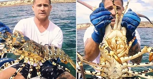 Peshkatari kap arragostën e mahnitshme në Australi,…