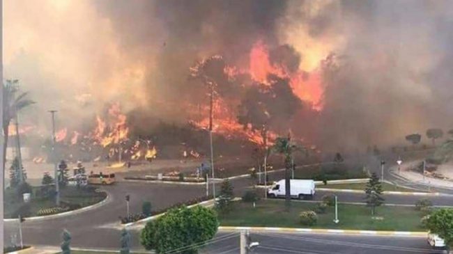 Dëme kolosale pas zjarreve në Antalia, konfirmohen…