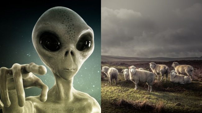 Hetuesit: UFO-t po sulmojnë, gjymtojnë dhe therin…