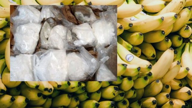 Fermeri bleu 10 kuti me banane në…