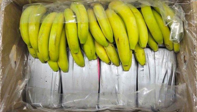 119 kg kokainë brenda kamionit me banane|…