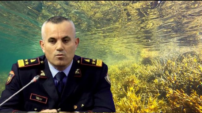 Ish-drejtori i Policisë së Shtetit Ardi Veliu:…