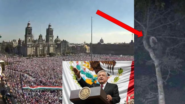 Presidenti i Meksikës publikon foton e fantazmës…