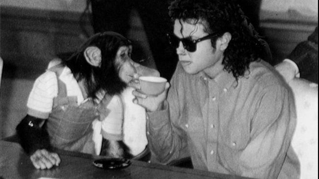 Shimpanzeja e Michael Jackson feston 40 vjetorin