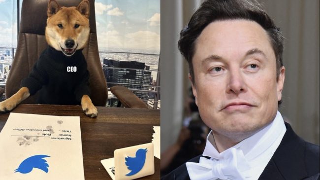 Elon Musk emëron qenin e tij CEO…