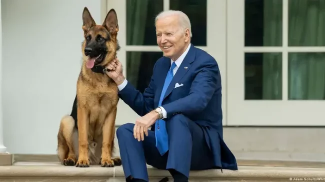 ‘Mërzitet’ qeni i Biden, kafshon stafin dhe&hellip;
