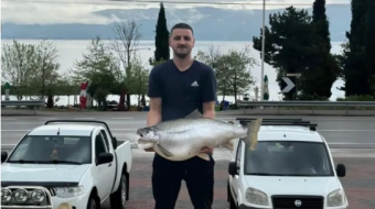 E pazakontë në Pogradec, peshkatari kap peshkun…