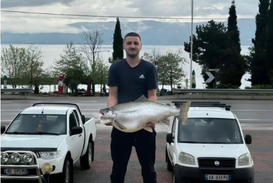 E pazakontë në Pogradec, peshkatari kap peshkun…
