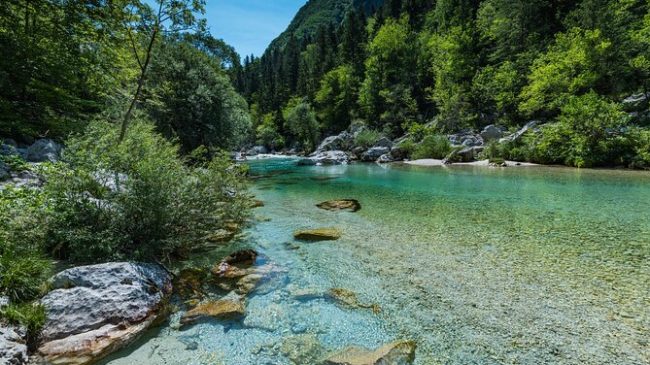 Ky është mërgimtari kosovar që dyshohet se&hellip;