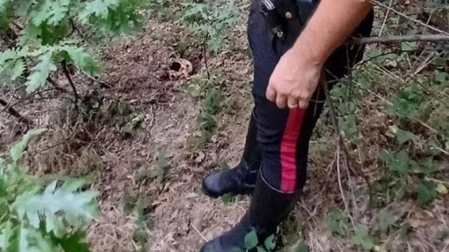 Shqiptari po kërkonte për tartuf, gjen një&hellip;
