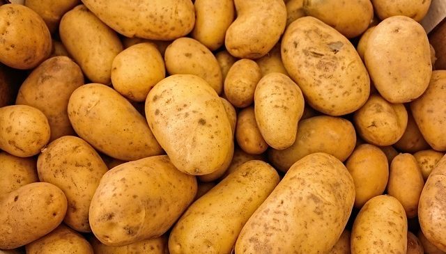 Pas qepës e grurit, fermerët e Korçës&hellip;