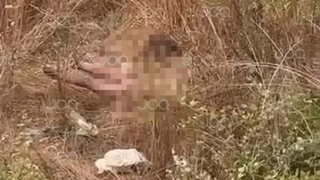 U gjet i pajetë pranë shkollës “Andrea&hellip;