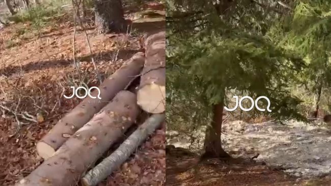 Qytetari ngre alarmin për Parkun Kombëtar të&hellip;