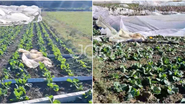 Stuhia e shiut i ka shkatërruar 6&hellip;