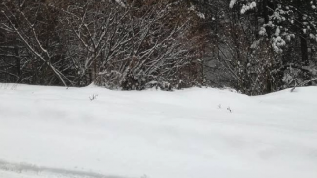 Ndalohet qarkullimi për automjetet e rënda në&hellip;