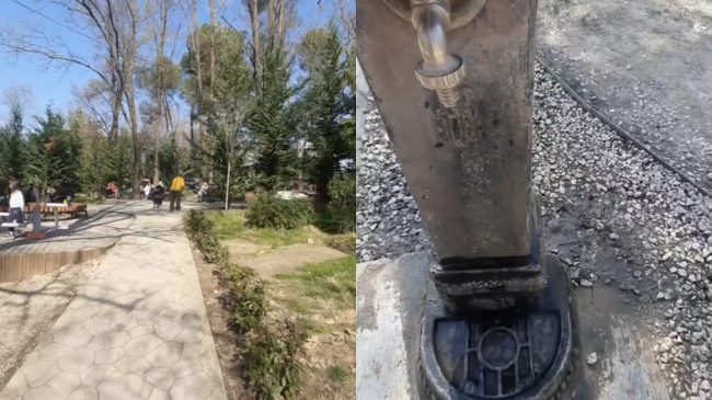 Mesi i ditës, Liqeni i Tiranës plot&hellip;