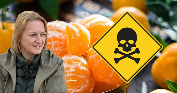 Skandali i mandarinave, pesticidi që Anila Denaj&hellip;