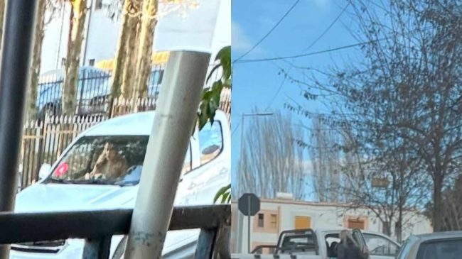Përgjegjësi i ujësjellësit në Ballsh përdor makinën&hellip;