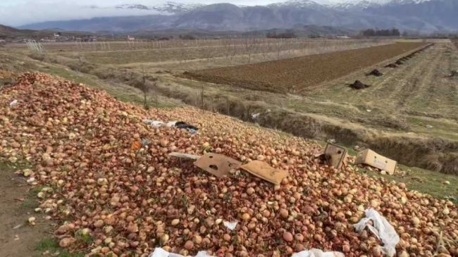 Fermerët korçarë hedhin qepët prej mungesës së&hellip;