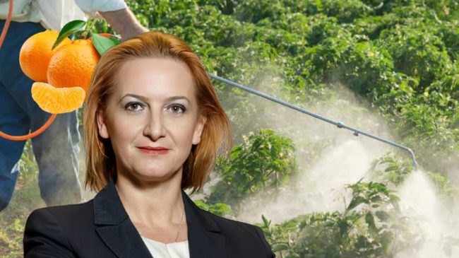 Pesticidet e ndaluara në Evropë, tregtohen lirshëm&hellip;
