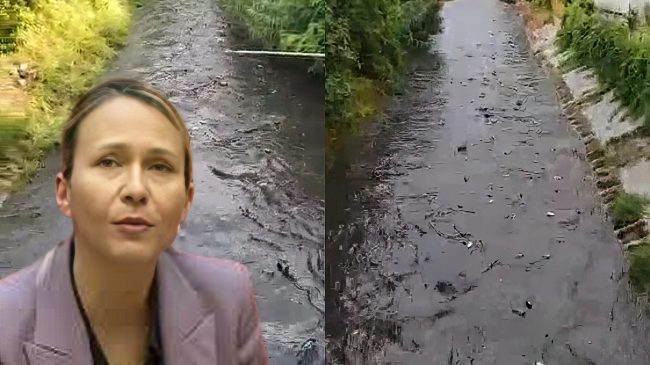 Lana e mbushur me plehra dhe kafshë&hellip;