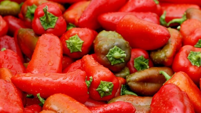 Pas Kroacisë dhe Bosnjës, Sllovenia bllokon specat&hellip;