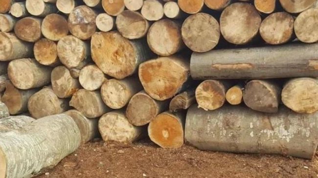 Çmimet e drurit për ngrohje gjithnjë e&hellip;