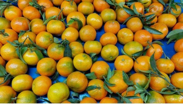 Eksperti tregon raportin nga Italia për mandarinat&hellip;