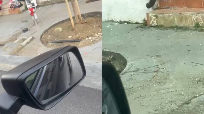 Bashkia “tallet” me vlonjatët, pemët zënë më&hellip;