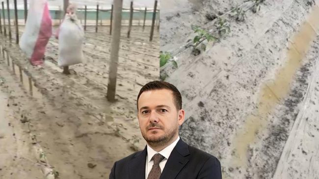 Përmbytja i shkatërroi 2 mln lekë fidanë,&hellip;
