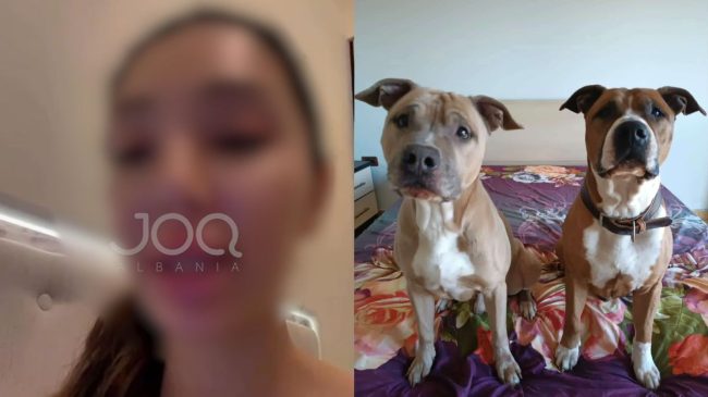 Pagova 9 200€, Gentian Sejdini dhe Rozalina&hellip;