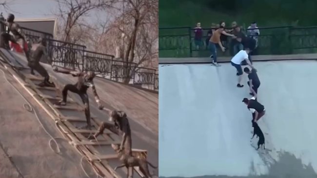 Njerëzit shpëtuan qenin nga mbytja, momenti prekës&hellip;