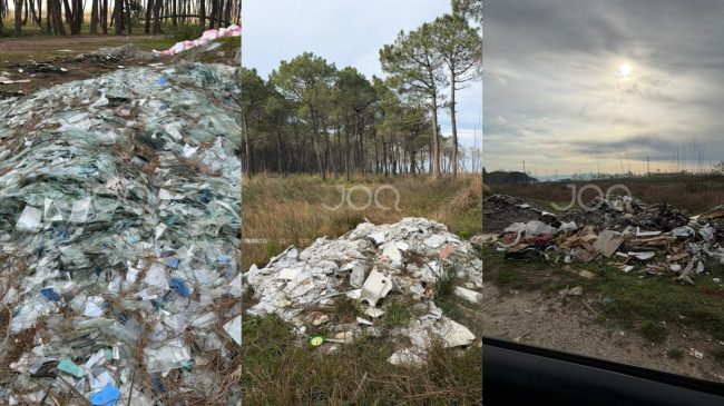 Masakër mjedisore në Durrës! Pylli i vetëm&hellip;