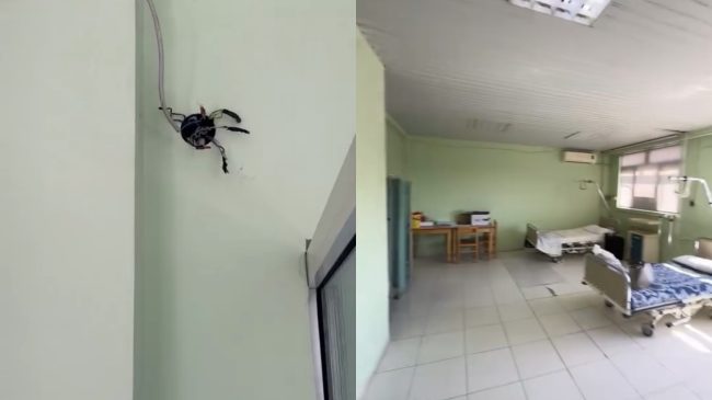 Në reanimacionin e spitalit të Lushnjes pacientët&hellip;