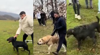 Të rinjtë sfidojnë policinë: bëjnë ndeshje me&hellip;