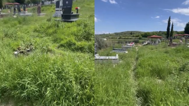 Varrezat i ka mbuluar bari, Bashkia Dimal&hellip;
