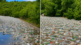 Peizazhi i kthyer në landfill, rrezikohet fauna&hellip;