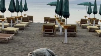 Prekëse në Pogradec, qeni nuk lëviz në&hellip;