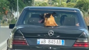 Shqipo me “Benz” gjen zgjidhje për ‘ajrosjen’&hellip;