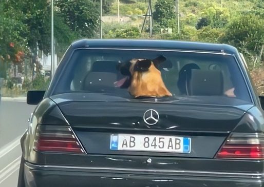 Shqipo me “Benz” gjen zgjidhje për ‘ajrosjen’&hellip;