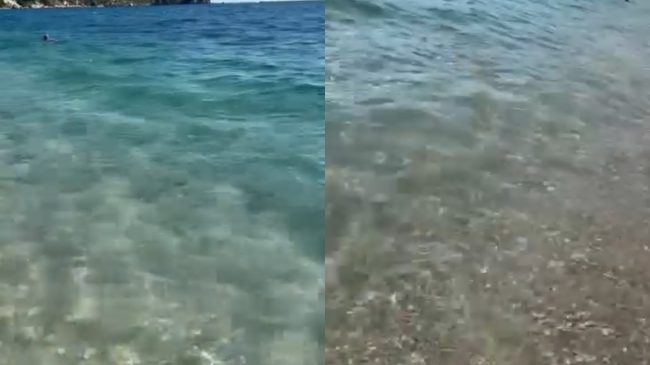 Pastrohet deti në Potam, qytetari: Nuk ka&hellip;