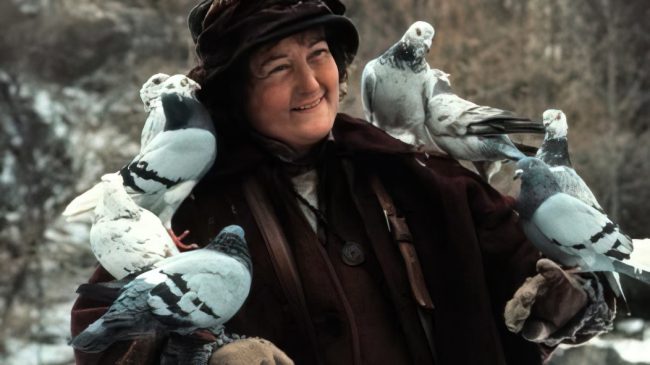 Shuhet “gruaja e pëllumbave” e “Home Alone&hellip;