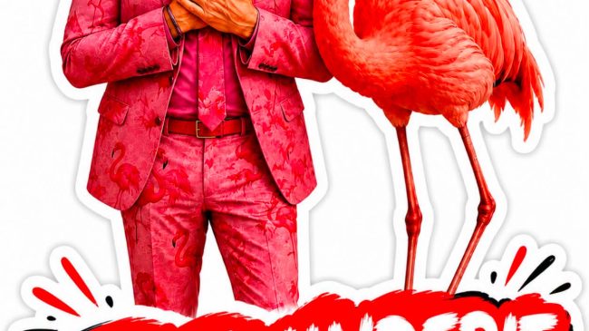 Rama si flamingo: Faleminderit për urimet dhe&hellip;