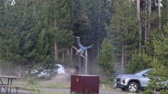 Bizoni sulmon turistin në Yellowstone, e hedh&hellip;
